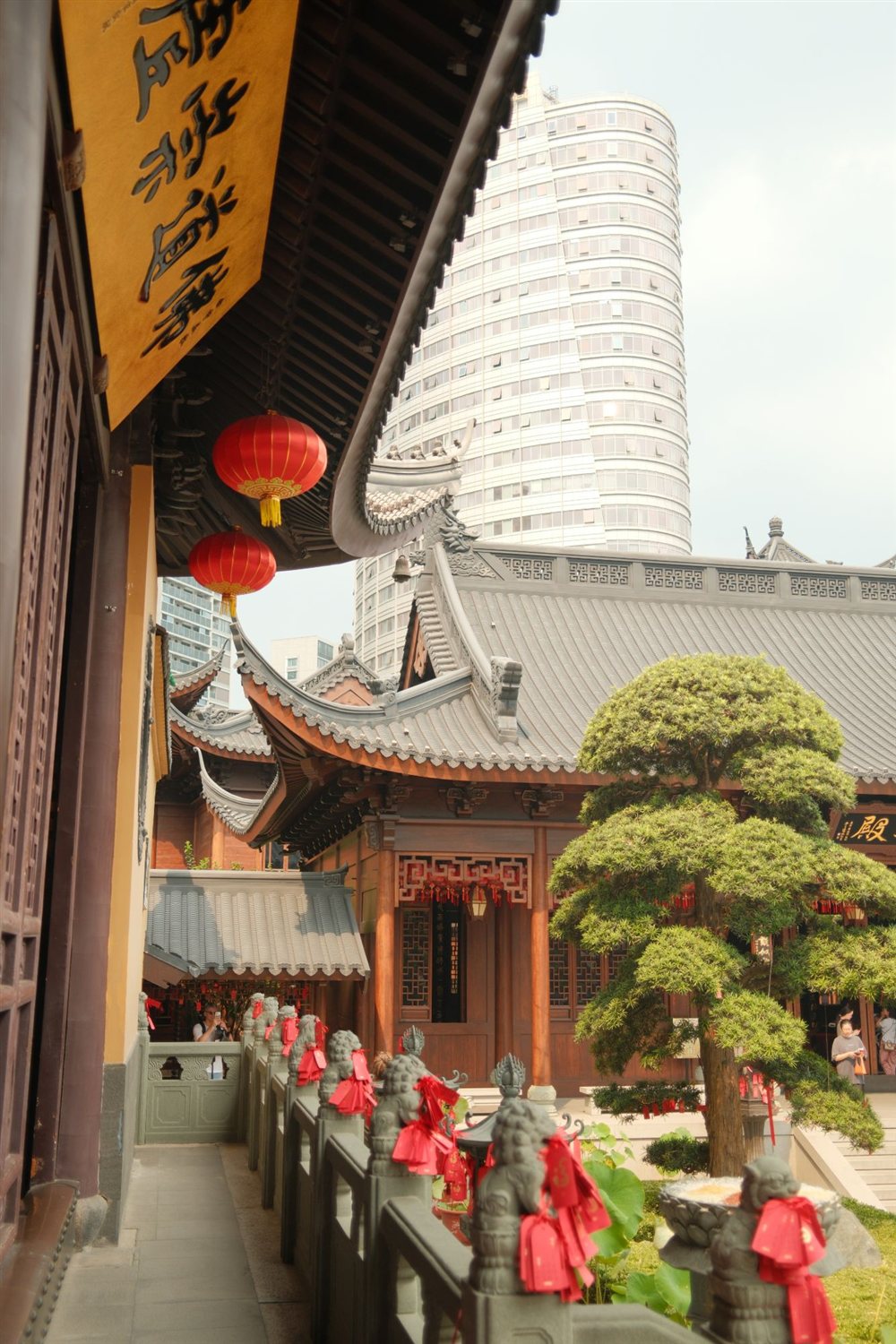 Red lanterns under a temple roof, a pine tree and a modern tower behind